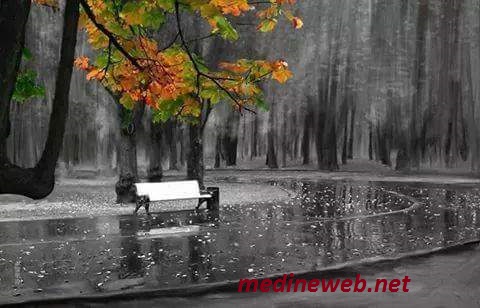 �sim:  al.jpg
G�r�nt�leme: 75
B�y�kl�k:  56,4 KB (Kilobyte)