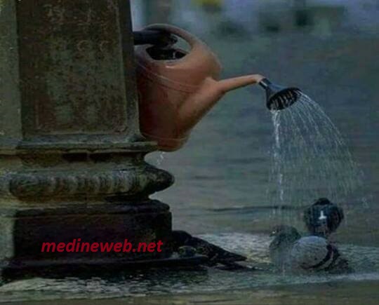 �sim:  01.jpg
G�r�nt�leme: 75
B�y�kl�k:  49,8 KB (Kilobyte)