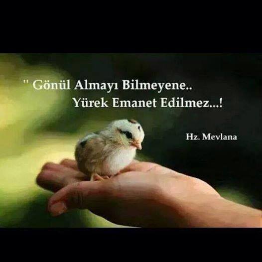 �sim:  g�l1.jpg
G�r�nt�leme: 75
B�y�kl�k:  21,4 KB (Kilobyte)