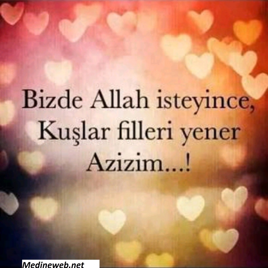 sim:  aziz.jpg
Grntleme: 85
Byklk:  174,8 KB (Kilobyte)