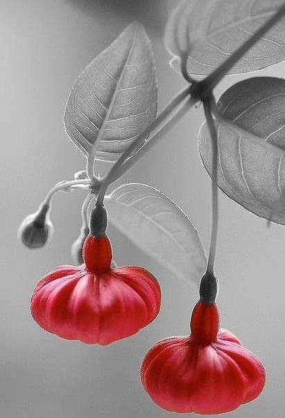 �sim:  b1.jpg
G�r�nt�leme: 80
B�y�kl�k:  31,2 KB (Kilobyte)