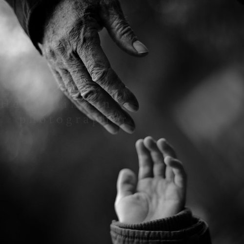 �sim:  e3.jpg
G�r�nt�leme: 115
B�y�kl�k:  22,2 KB (Kilobyte)