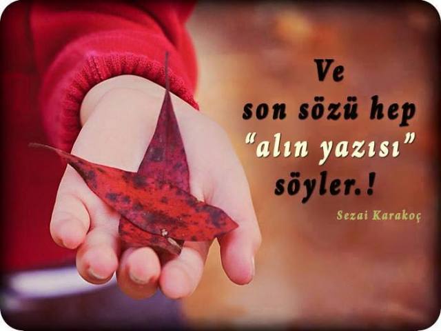 �sim:  i5.jpg
G�r�nt�leme: 100
B�y�kl�k:  30,2 KB (Kilobyte)