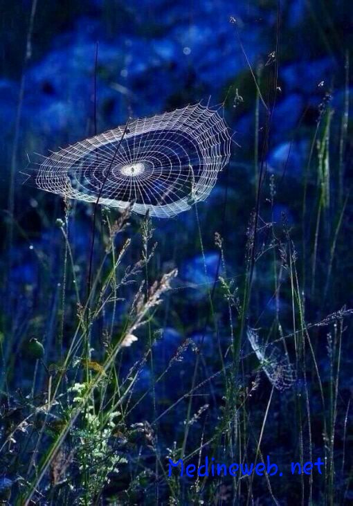 �sim:  IMG_1513621352169.jpg
G�r�nt�leme: 86
B�y�kl�k:  105,4 KB (Kilobyte)