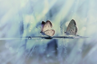 �sim:  d1.jpg
G�r�nt�leme: 89
B�y�kl�k:  19,1 KB (Kilobyte)