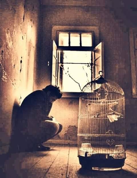 sim:  11825579_137762656562593_4159692756287205392_n.jpg
Grntleme: 101
Byklk:  37,2 KB (Kilobyte)