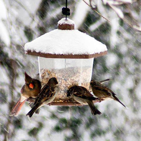 �sim:  �2.jpg
G�r�nt�leme: 91
B�y�kl�k:  39,6 KB (Kilobyte)