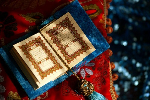 �sim:  11.jpg
G�r�nt�leme: 98
B�y�kl�k:  68,1 KB (Kilobyte)