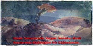 sim:  w.jpg
Grntleme: 100
Byklk:  23,0 KB (Kilobyte)