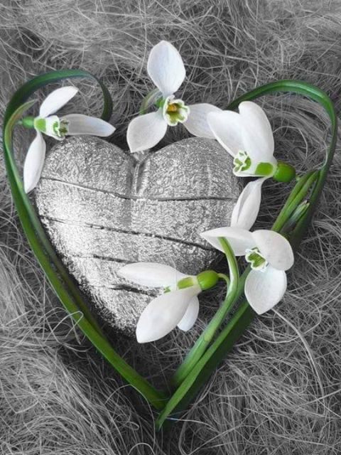 �sim:  ly.jpg
G�r�nt�leme: 123
B�y�kl�k:  78,7 KB (Kilobyte)