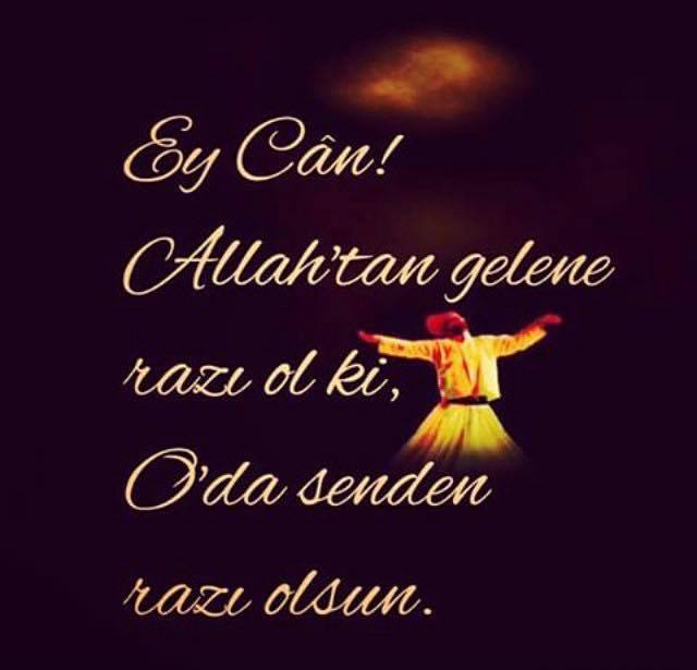 �sim:  resim 1.jpg
G�r�nt�leme: 94
B�y�kl�k:  26,4 KB (Kilobyte)