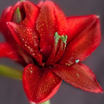 �sim:  g3.jpg
G�r�nt�leme: 146
B�y�kl�k:  19,5 KB (Kilobyte)