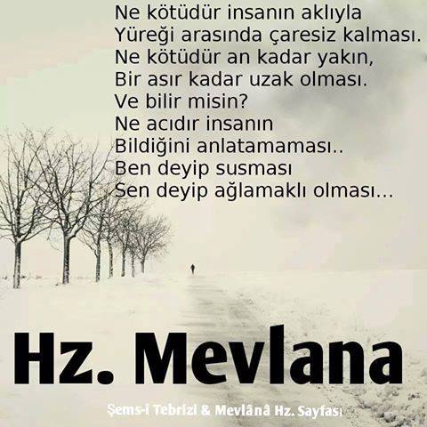 �sim:  mevla.jpg
G�r�nt�leme: 80
B�y�kl�k:  39,8 KB (Kilobyte)