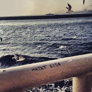 �sim:  12.jpg
G�r�nt�leme: 91
B�y�kl�k:  24,4 KB (Kilobyte)