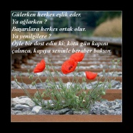 �sim:  1.jpg
G�r�nt�leme: 79
B�y�kl�k:  20,5 KB (Kilobyte)