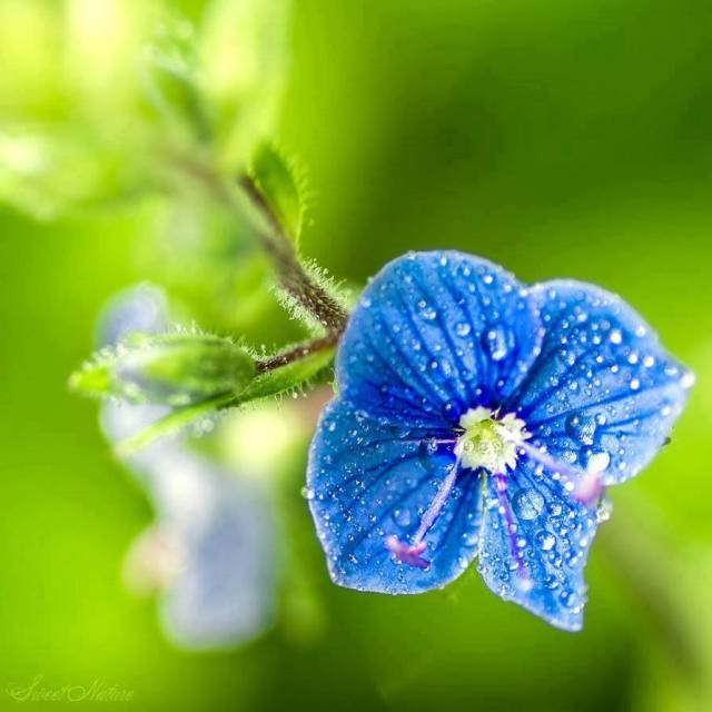 �sim:  1.jpg
G�r�nt�leme: 83
B�y�kl�k:  40,4 KB (Kilobyte)