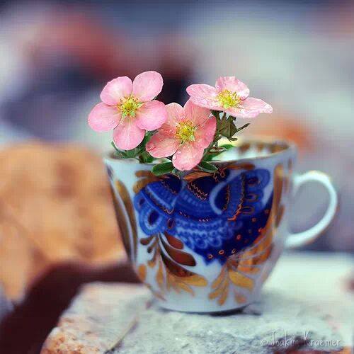 �sim:  ty.jpg
G�r�nt�leme: 80
B�y�kl�k:  30,1 KB (Kilobyte)