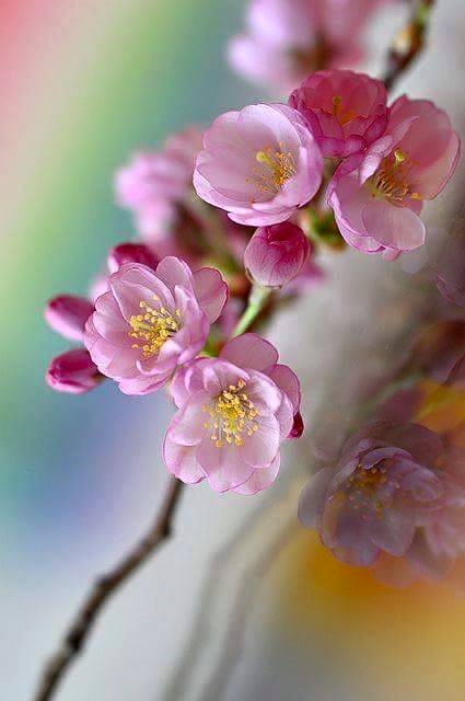 �sim:  3.jpg
G�r�nt�leme: 102
B�y�kl�k:  35,1 KB (Kilobyte)