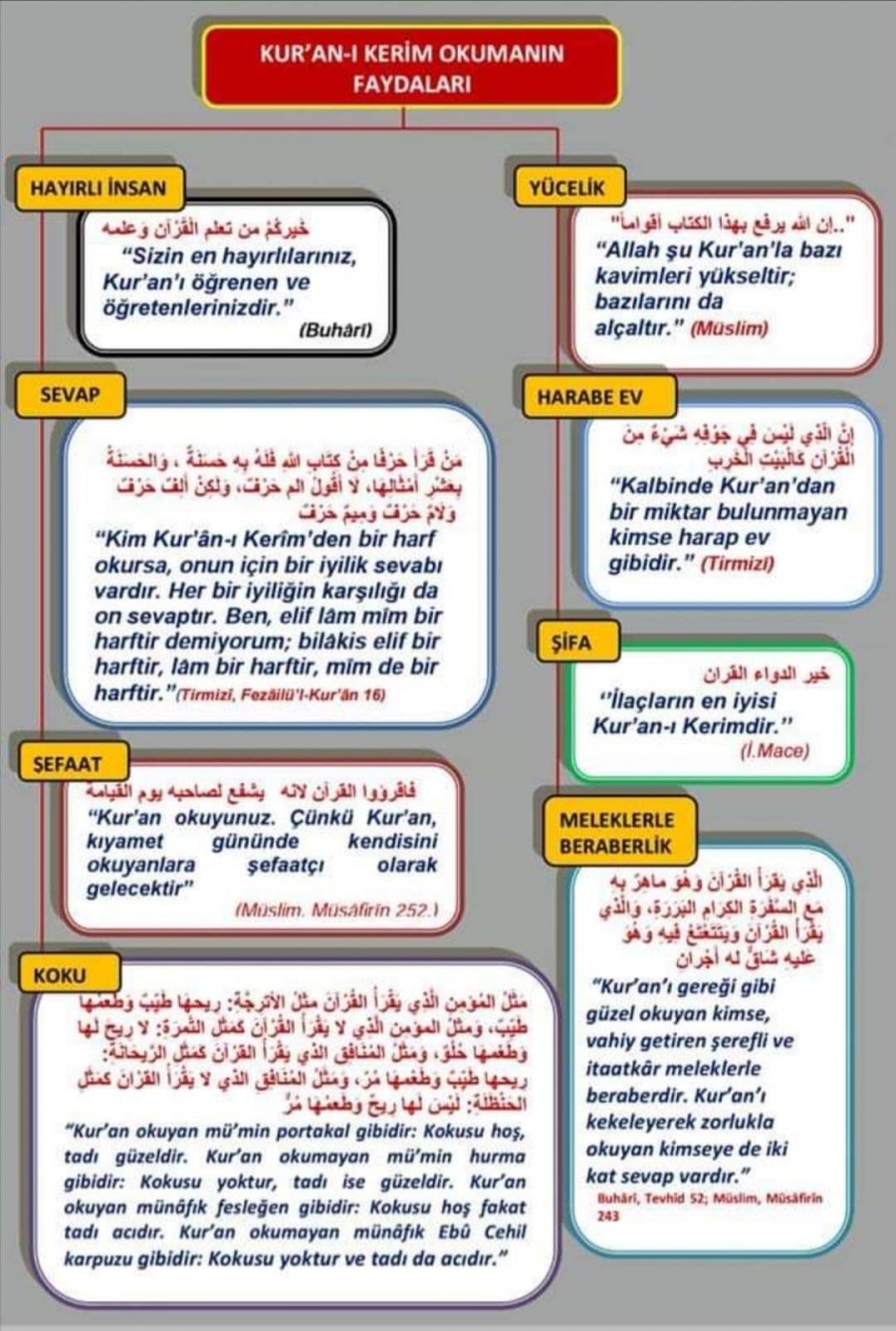 sim:  hadis 2.jpg
Grntleme: 24
Byklk:  371,4 KB (Kilobyte)