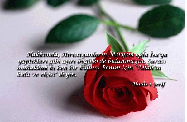 sim:  3.jpg
Grntleme: 106
Byklk:  36,5 KB (Kilobyte)