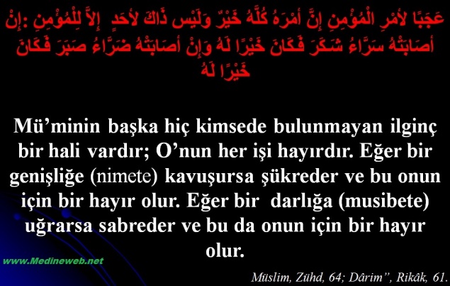 sim:  ScreenHunter_40.jpg
Grntleme: 115
Byklk:  97,5 KB (Kilobyte)