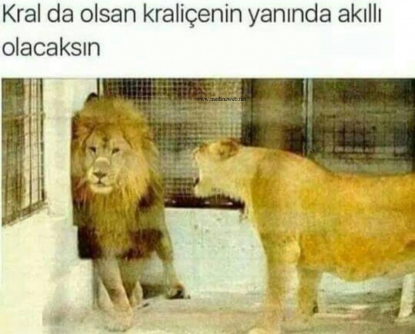 sim:  kr.jpg
Grntleme: 75
Byklk:  87,5 KB (Kilobyte)