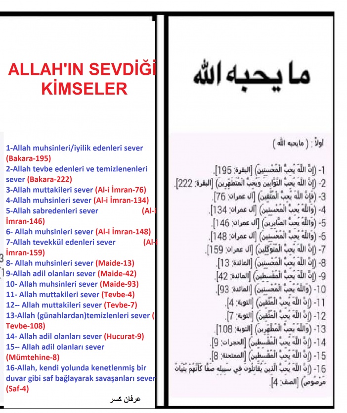 sim:  Allah'n sevdii kimseler.jpg
Grntleme: 54
Byklk:  218,1 KB (Kilobyte)