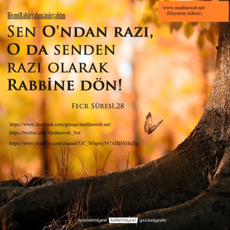 �sim:  ff1.jpg
G�r�nt�leme: 84
B�y�kl�k:  93,0 KB (Kilobyte)