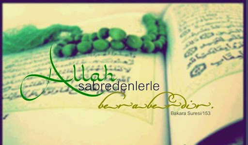 �sim:  [n3.jpg
G�r�nt�leme: 146
B�y�kl�k:  43,1 KB (Kilobyte)