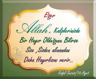 �sim:  15.jpg
G�r�nt�leme: 151
B�y�kl�k:  30,3 KB (Kilobyte)