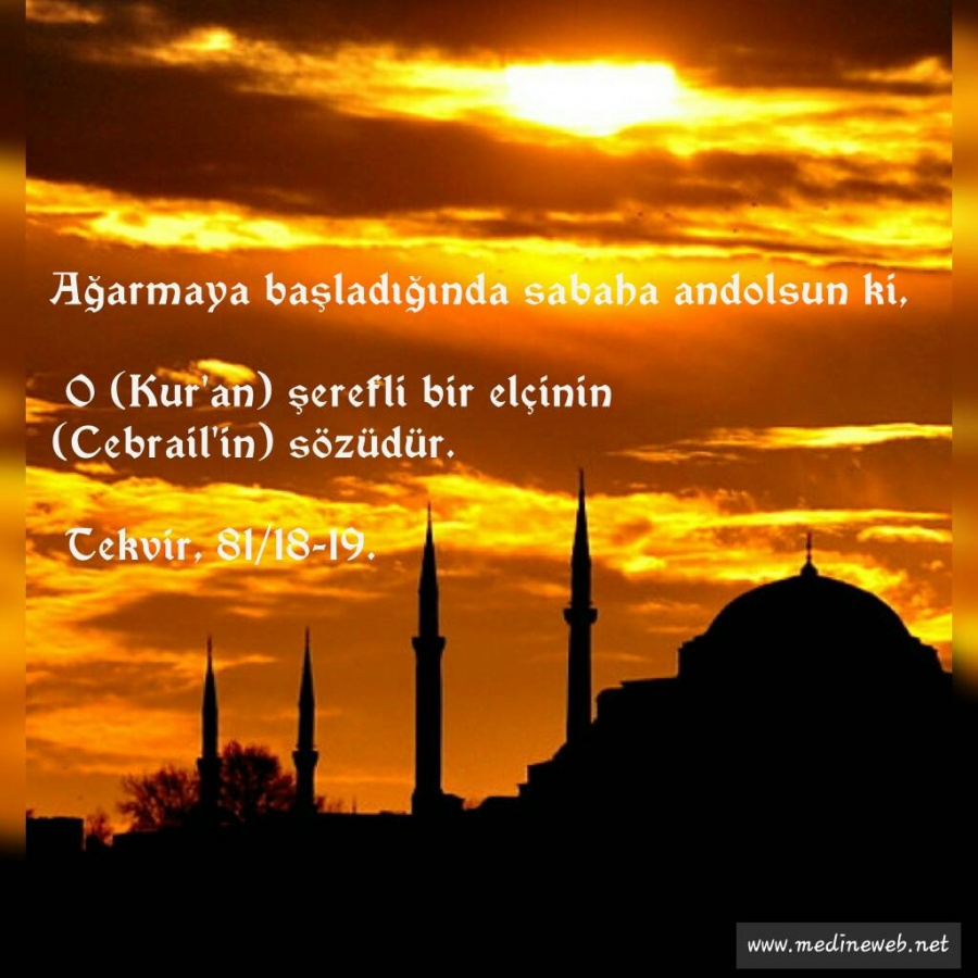 �sim:  1573069522475.jpg
G�r�nt�leme: 85
B�y�kl�k:  180,2 KB (Kilobyte)