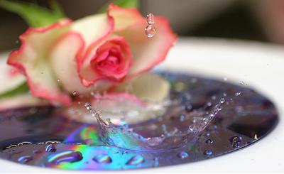 �sim:  s7.jpg
G�r�nt�leme: 100
B�y�kl�k:  14,3 KB (Kilobyte)