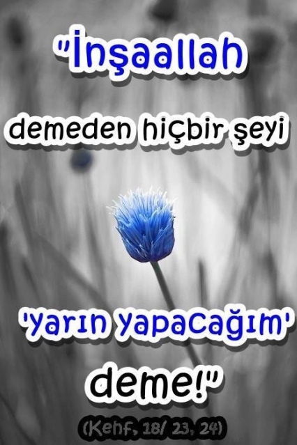 �sim:  01.jpg
G�r�nt�leme: 87
B�y�kl�k:  96,4 KB (Kilobyte)