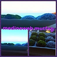 sim:  IMG_20170226_121539-1.jpg
Grntleme: 92
Byklk:  20,8 KB (Kilobyte)