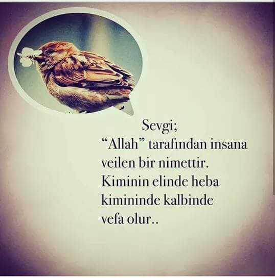 sim:  FB_IMG_1515967048885.jpg
Grntleme: 44
Byklk:  25,1 KB (Kilobyte)