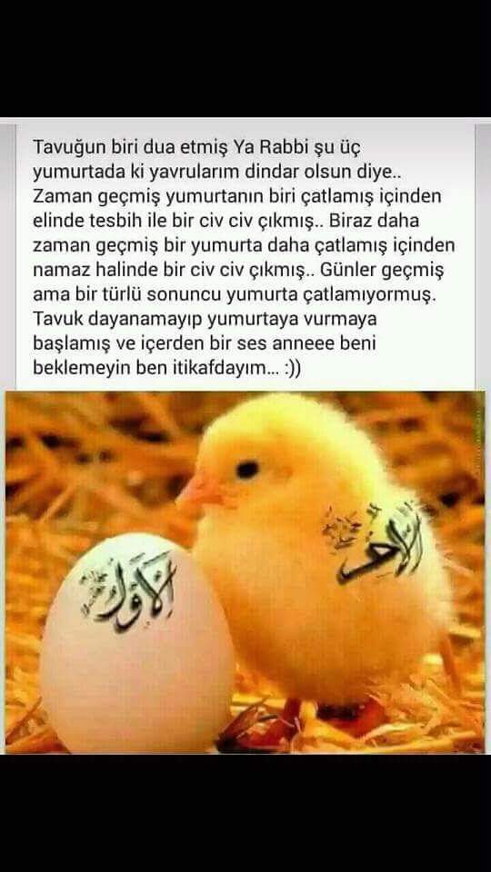 sim:  FB_IMG_1497616496303.jpg
Grntleme: 22
Byklk:  51,5 KB (Kilobyte)