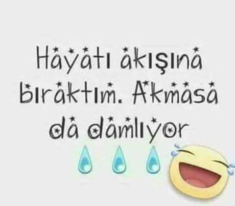 �sim:  MED6.jpg
G�r�nt�leme: 111
B�y�kl�k:  14,7 KB (Kilobyte)