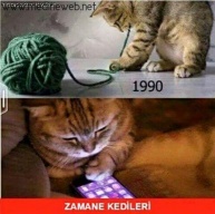 sim:  1461693048924.jpg
Grntleme: 76
Byklk:  20,1 KB (Kilobyte)