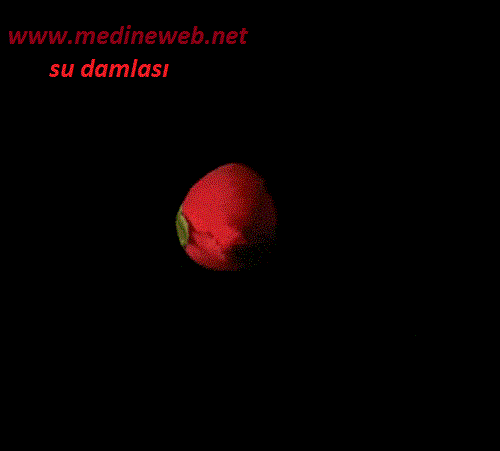 sim:  ty.gif
Grntleme: 84
Byklk:  8,9 KB (Kilobyte)