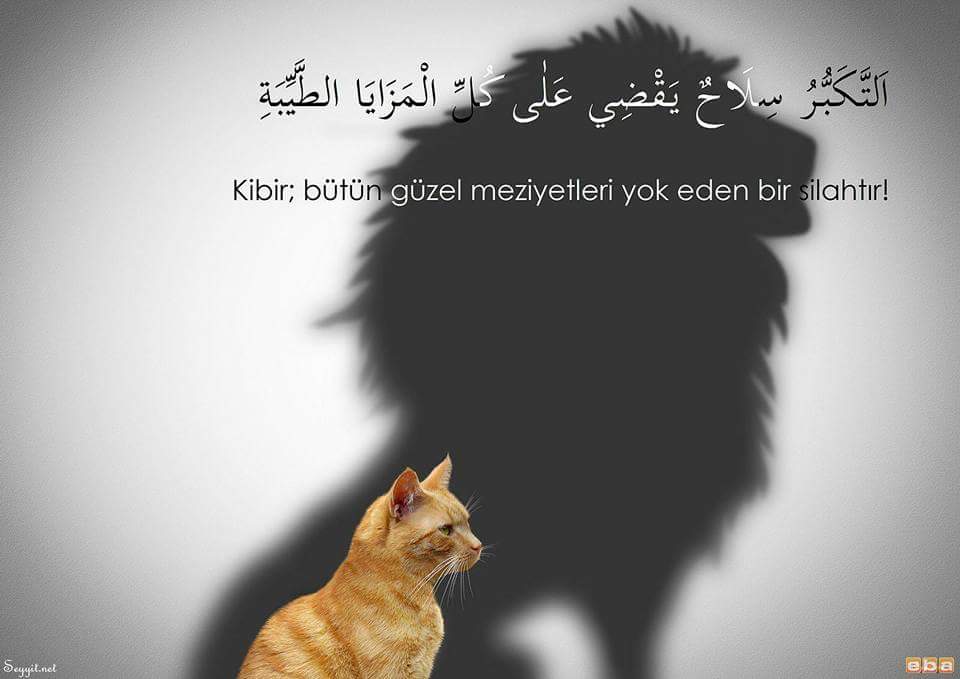 sim:  FB_IMG_1469892381759.jpg
Grntleme: 43
Byklk:  38,7 KB (Kilobyte)