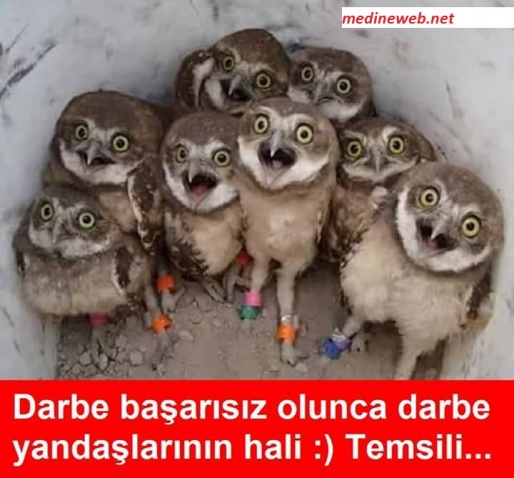sim:  darbe kular.jpg
Grntleme: 95
Byklk:  85,3 KB (Kilobyte)