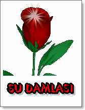 sim:  avatar37338_.gif
Grntleme: 115
Byklk:  7,5 KB (Kilobyte)