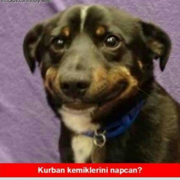 sim:  Screenshot_2016-09-03-00-36-10-1.jpg
Grntleme: 111
Byklk:  79,5 KB (Kilobyte)