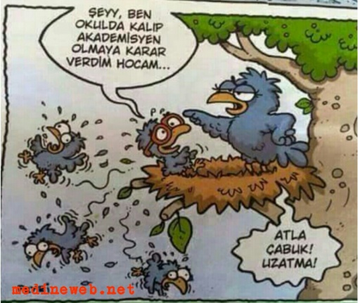 sim:  1473096244987-1.jpg
Grntleme: 122
Byklk:  92,1 KB (Kilobyte)