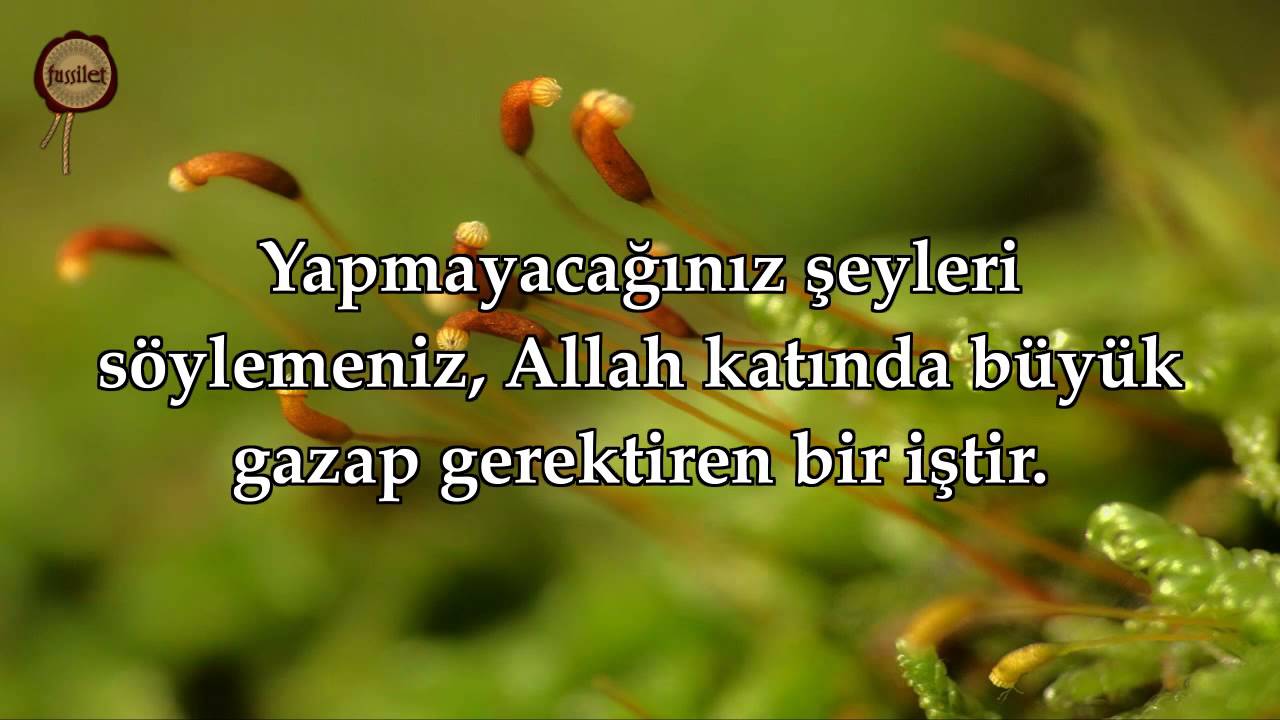 sim:  ver3.jpg
Grntleme: 28
Byklk:  83,8 KB (Kilobyte)