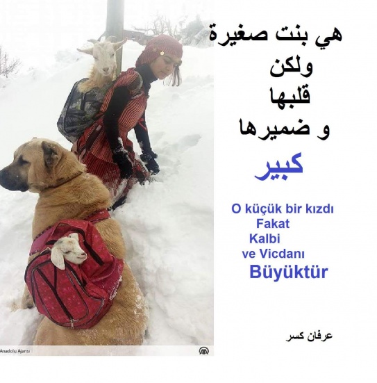 sim:  FB_IMG_1486453769836.jpg
Grntleme: 81
Byklk:  86,0 KB (Kilobyte)