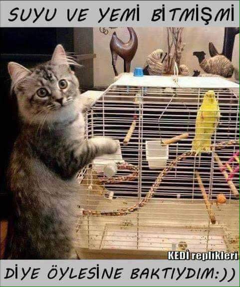 sim:  FB_IMG_1489912113493.jpg
Grntleme: 57
Byklk:  46,6 KB (Kilobyte)