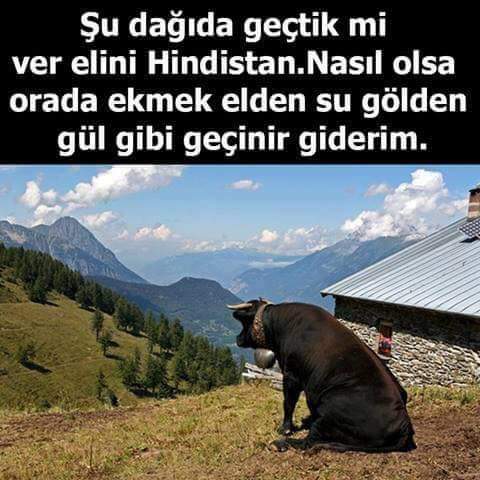 sim:  FB_IMG_1504553768882.jpg
Grntleme: 86
Byklk:  38,0 KB (Kilobyte)