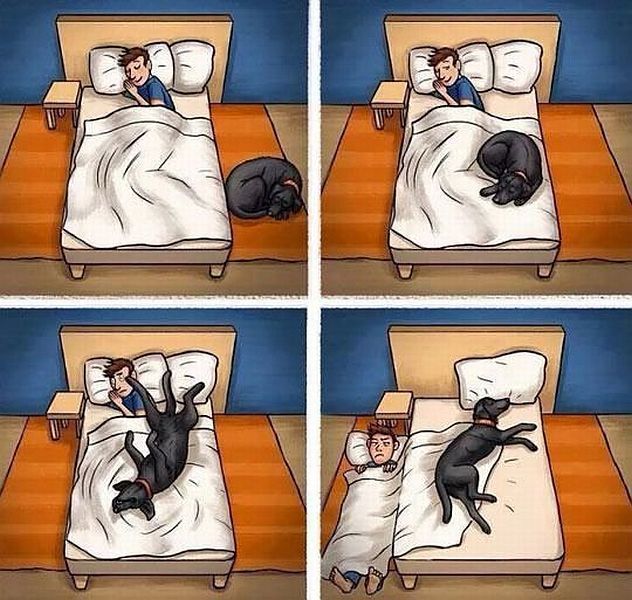 sim:  ob_9bd233_ob-e5ca21-funny-picdump-823-640-35.jpg
Grntleme: 88
Byklk:  86,2 KB (Kilobyte)