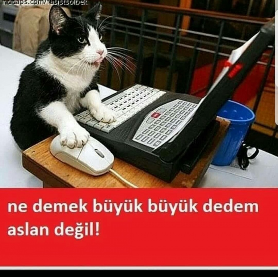 sim:  IMG_20180210_080850_407.jpg
Grntleme: 88
Byklk:  215,7 KB (Kilobyte)